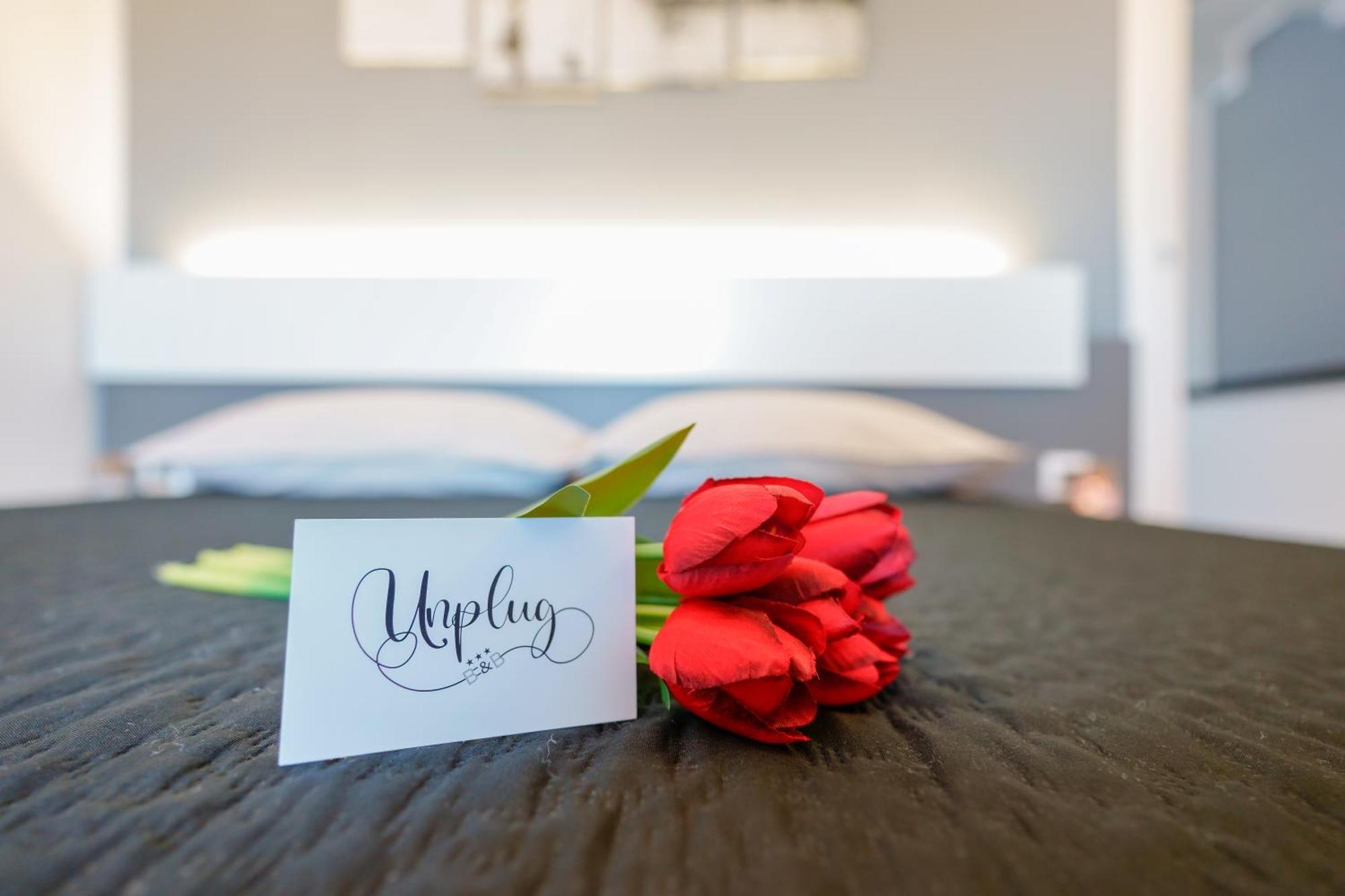 Unplug Bed & Breakfast กวาร์ตู ซานเตเลนา ภายนอก รูปภาพ